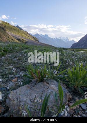 Un fiume (Suru River) che scorre in bianco sul lato ci sono montagne intorno. Foto Stock
