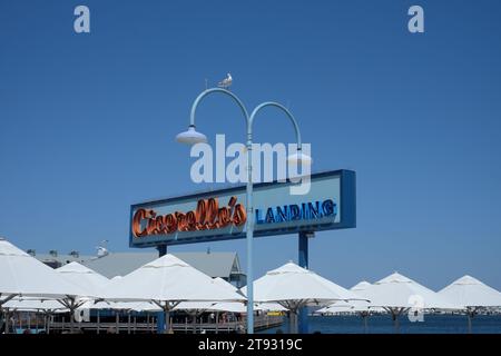 Un gabbiano su un'asta luminosa a due lampade a doppio arco, insegna del ristorante Cicerello's Landing, blu con spruzzi di rosso contro un cielo blu Fremantle, Australia Foto Stock