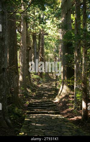 Sezione del leggendario percorso Kumano Kodo lungo i ciottoli di pietra a Wakayama, Giappone. Foto Stock