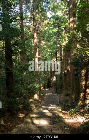 Sezione del leggendario percorso Kumano Kodo lungo i ciottoli di pietra a Wakayama, Giappone. Foto Stock