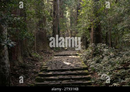 Sezione del leggendario percorso Kumano Kodo lungo i ciottoli di pietra a Wakayama, Giappone. Foto Stock