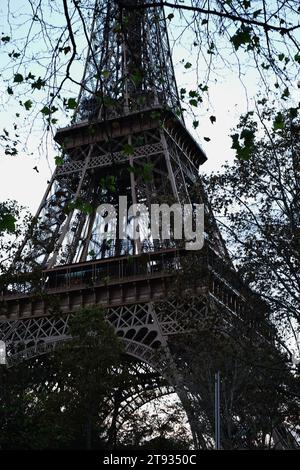 Silhouette della Torre Eiffel contro il cielo con rami d'albero Foto Stock