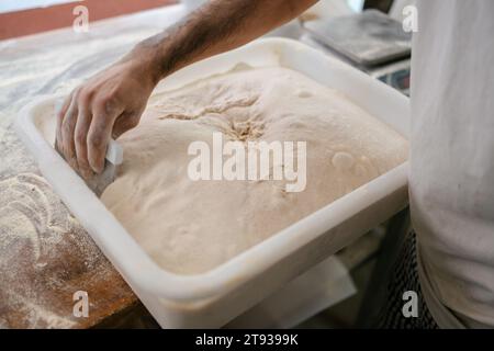 Mano di un fornaio irriconoscibile in t-shirt bianca che toglie l'impasto da un contenitore di plastica con la scapola per lavorarlo su un tavolo in un panificio Foto Stock