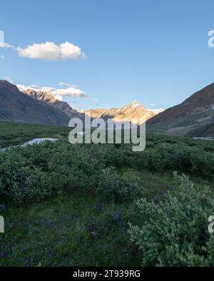 Gli aspri terreni del Ladakh, le cime baciate dalla neve e le valli vibranti intrecciano un incantevole arazzo himalano Foto Stock