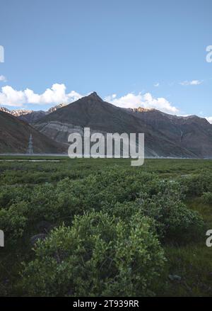 Gli aspri terreni del Ladakh, le cime baciate dalla neve e le valli vibranti intrecciano un incantevole arazzo himalano Foto Stock