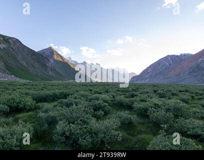 Gli aspri terreni del Ladakh, le cime baciate dalla neve e le valli vibranti intrecciano un incantevole arazzo himalano Foto Stock