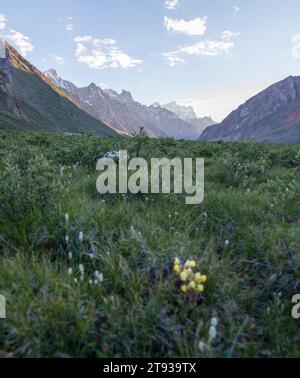 Gli aspri terreni del Ladakh, le cime baciate dalla neve e le valli vibranti intrecciano un incantevole arazzo himalano Foto Stock