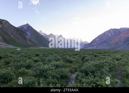 Gli aspri terreni del Ladakh, le cime baciate dalla neve e le valli vibranti intrecciano un incantevole arazzo himalano Foto Stock