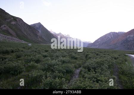 Gli aspri terreni del Ladakh, le cime baciate dalla neve e le valli vibranti intrecciano un incantevole arazzo himalano Foto Stock