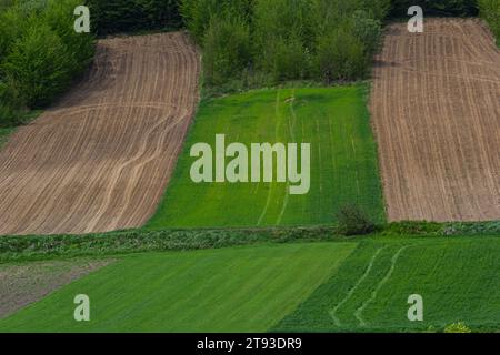 Arato, piantato e Hilling Rows Black-Earth Field. Grana del terreno. Foto Stock