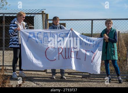 Yambol Bulgaria 21 novembre 2023: L'esponente Claire Starling dello Yorkshire ha organizzato una protesta per i diritti degli animali dopo che un dito della mano destra si è morso durante una visita al rifugio di Yambol. Claire che ha detto che stava dando da mangiare ai cani quando accadde l'incidente, i cani muoiono di fame e sono in condizioni molto povere. Attivisti per i diritti degli animali, compresa la comunità inglese, si sono riuniti per protestare contro le condizioni del rifugio per cani municipale. I cani che vivono nei loro escrementi esposti alle intemperie i cani elementsdog muoiono di colpo di calore e congelamento. Clifford Norton Alamy Live News Foto Stock