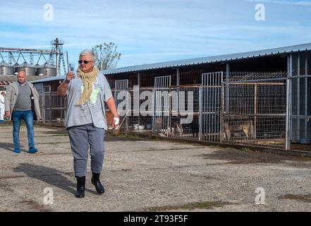 Yambol Bulgaria 21 novembre 2023: L'esponente Claire Starling dello Yorkshire ha organizzato una protesta per i diritti degli animali dopo che un dito della mano destra si è morso durante una visita al rifugio di Yambol. Claire che ha detto che stava dando da mangiare ai cani quando accadde l'incidente, i cani muoiono di fame e sono in condizioni molto povere. Attivisti per i diritti degli animali, compresa la comunità inglese, si sono riuniti per protestare contro le condizioni del rifugio per cani municipale. I cani che vivono nei loro escrementi esposti alle intemperie i cani elementsdog muoiono di colpo di calore e congelamento. Clifford Norton Alamy Live News Foto Stock