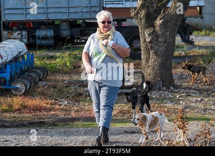 Yambol Bulgaria 21 novembre 2023: L'esponente Claire Starling dello Yorkshire ha organizzato una protesta per i diritti degli animali dopo che un dito della mano destra si è morso durante una visita al rifugio di Yambol. Claire che ha detto che stava dando da mangiare ai cani quando accadde l'incidente, i cani muoiono di fame e sono in condizioni molto povere. Attivisti per i diritti degli animali, compresa la comunità inglese, si sono riuniti per protestare contro le condizioni del rifugio per cani municipale. I cani che vivono nei loro escrementi esposti alle intemperie i cani elementsdog muoiono di colpo di calore e congelamento. Clifford Norton Alamy Live News Foto Stock