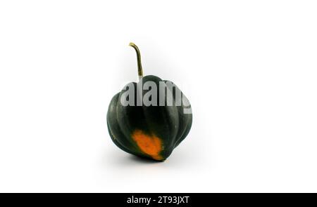 Foto di una varietà di squash, tra cui delicata, kabocha, ghianda, noci miele, e padella Foto Stock