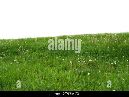 isolamento primaverile per compositi di progettazione Foto Stock