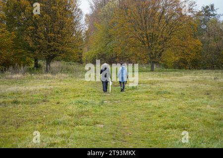 Due donne camminano su un sentiero nella foresta in Olanda in autunno, Limburgo, Paesi Bassi. Foto Stock