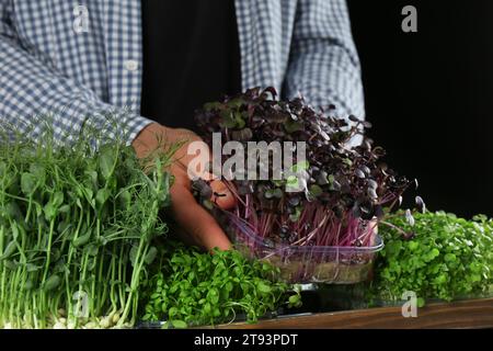 Uomo con diversi microgreen freschi su sfondo nero, primo piano Foto Stock