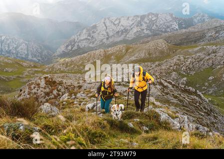 due escursionisti che camminano in montagna con il loro cane. un paio di alpinisti che salgono una montagna. sport e attività fisica in natura. Foto Stock