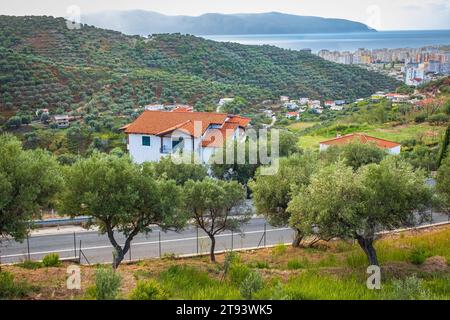 Valle con oliveti nei Balcani. Paesaggio dell'Albania meridionale piantagione di ulivi in una giornata di sole. Tipica casa rurale circondata da ulivi Foto Stock