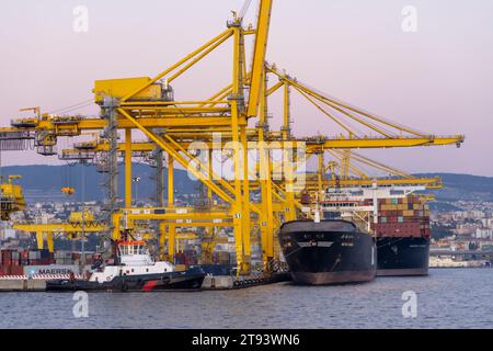 Trieste, Italia – 2023, 19 novembre: Nave cargo container industriale con ponte gru funzionante nel cantiere di Trieste Foto Stock