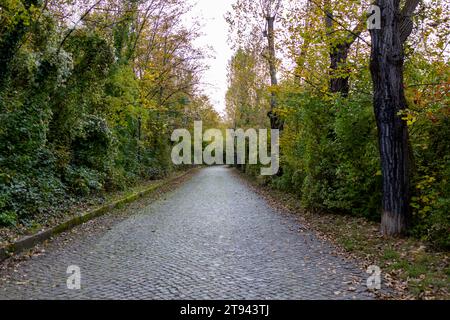 Boschi road Foto Stock