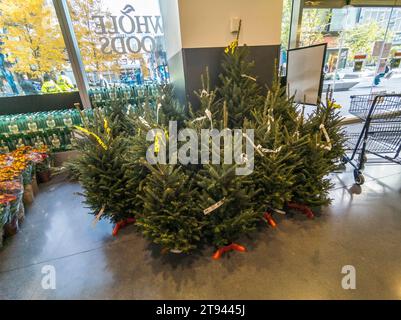 Mostra di alberi di Natale al Manhattan West Whole Foods Market di New York venerdì 17 novembre 2023. (© Richard B. Levine) Foto Stock