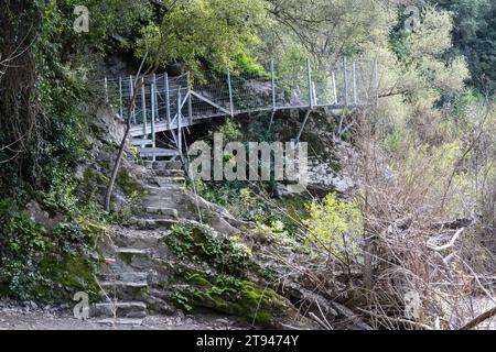 Scalinata in pietra e metallo e ponte in una lussureggiante foresta, che conduce attraverso una fitta vegetazione e vegetazione ricoperta. Foto Stock