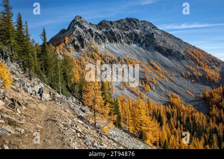 WA23741-00...WASHINGTON - percorso che scende verso il lago bollente attraverso larici dai colori vivaci sul Golden Lakes Loop. Foto Stock