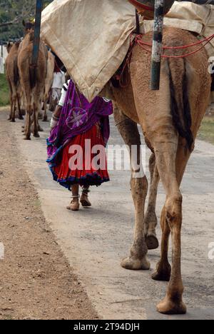 Le donne Banjara nel loro antico modo di vestire e gioielli sono forse le più colorate ed elaborate di qualsiasi gruppo tribale in India. Sono i nomadi tipici che si chiedono da un luogo all'altro conducendo così una vita nei loro termini e condizioni. Mandu, Madhya Pradesh, India. Foto Stock