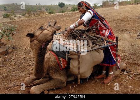 Le donne Banjara nel loro antico modo di vestire e gioielli sono forse le più colorate ed elaborate di qualsiasi gruppo tribale in India. Sono i nomadi tipici che si chiedono da un luogo all'altro conducendo così una vita nei loro termini e condizioni. Mandu, Madhya Pradesh, India. Foto Stock