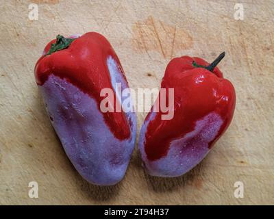 Fotografia ravvicinata dalla cima di due peperoni rossi congelati su un tagliere di legno, con tracce chiare di ghiaccio su di essi. Foto Stock