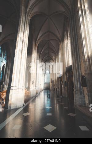 Interno della chiesa di Saint-Éloi, Dunkerque illuminata dai raggi del sole. Cattedrale delle sabbie, Francia. Foto Stock