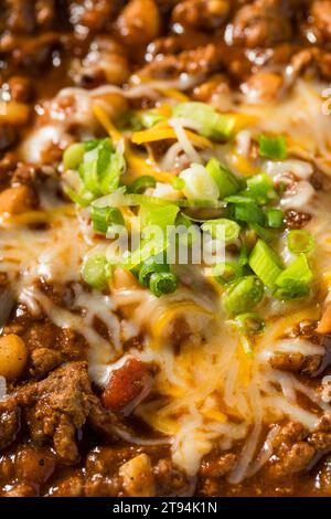 Pollo al tacchino biologico fatto in casa con carne con formaggio e cipolle verdi Foto Stock