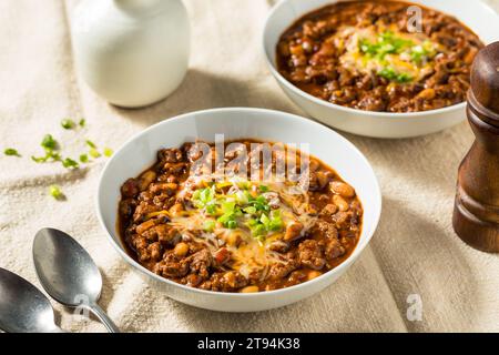 Pollo al tacchino biologico fatto in casa con carne con formaggio e cipolle verdi Foto Stock