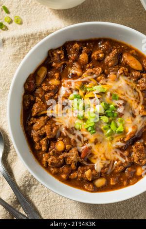 Pollo al tacchino biologico fatto in casa con carne con formaggio e cipolle verdi Foto Stock