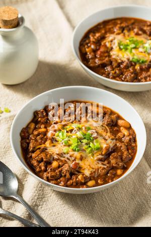 Pollo al tacchino biologico fatto in casa con carne con formaggio e cipolle verdi Foto Stock