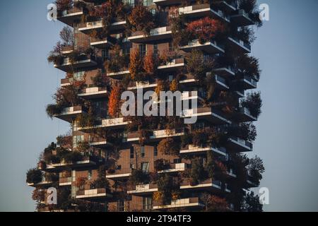 MILANO, ITALIA - 21 NOVEMBRE 2023 - "Bosco verticale", foresta verticale in autunno, appartamenti di design ed edifici nel quartiere "Isola" del ci Foto Stock