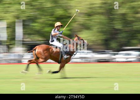 Scena del match El Overo Z7 contro la Irenita alla 130. Campionato argentino Open Polo, Palermo, Buenos Aires, Argentina Foto Stock