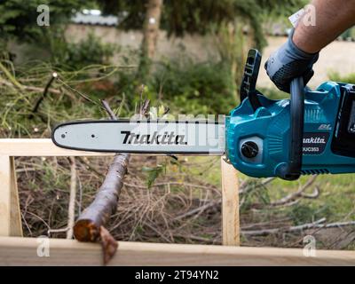 Motosega elettrica DUC353 Makita che tiene su un sottile tronco d'albero per produrre legna da ardere. Taglio del legno nel cortile con alimentazione a batteria e senza filo. Foto Stock