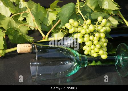 bottiglia di vino e bicchiere, uva e foglie Foto Stock