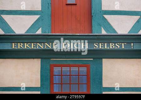 Dettaglio sulla porta della Loggia dei massoni di Hildesheim per il Tempio della luce nell'ex edificio della cattedrale, Germania, bassa Sassonia, Hildesheim Foto Stock