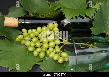 bottiglia di vino e bicchiere, uva e foglie Foto Stock