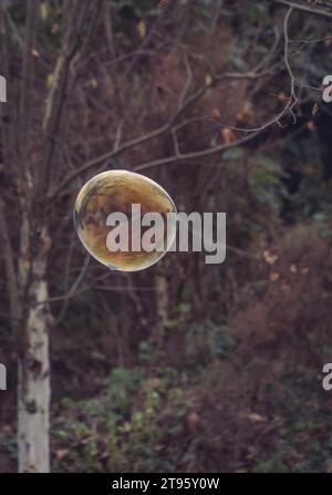 Bolle di sapone che galleggiano nell'aria Foto Stock