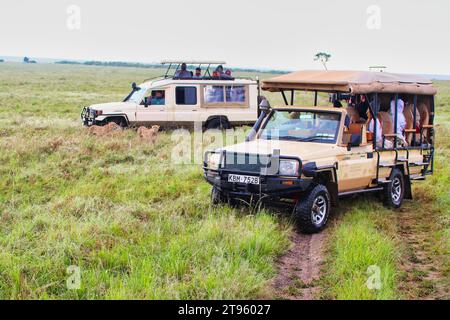 Maasai Mara, Kenya, 23-dicembre-2020 - i turisti in safari potranno incontrare da vicino i Cheetah nella riserva di caccia Maasai Mara in Kenya, Africa Foto Stock