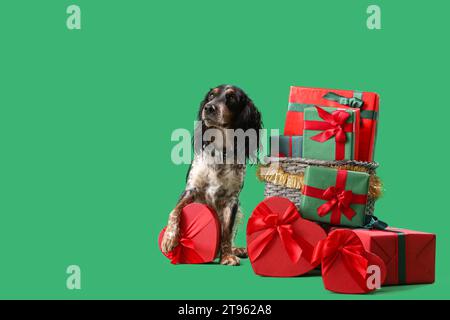 Grazioso spaniel di galletto con regali di Natale su sfondo verde Foto Stock