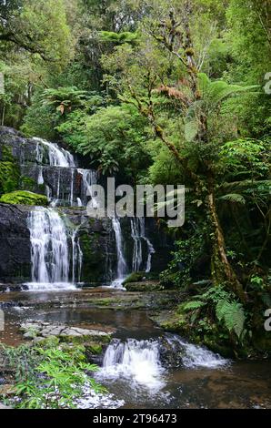 il grazioso purakanui cade in una foresta di faggi argentati e podocarpe nella regione costiera di catlins nel southland, sull'isola meridionale della nuova zelanda Foto Stock