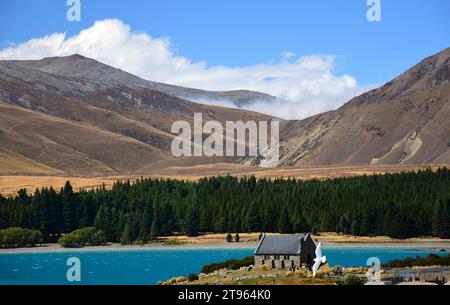 chiesa del buon pastore nel lago tekapo sullo sfondo di una montagna, con un gabbiano bianco in primo piano, sull'isola meridionale della nuova zelanda Foto Stock