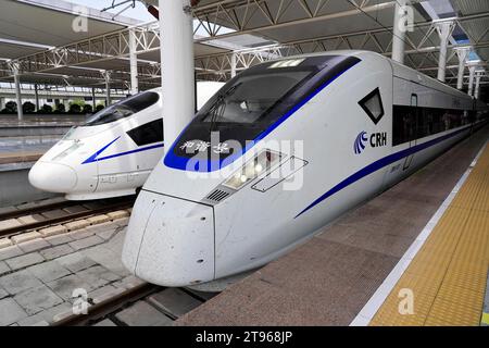 Treni espressi, CRH sul binario, stazione di Hongqiao, Shanghai, Cina Foto Stock