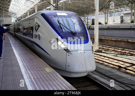 Treni espressi, CRH sul binario, stazione di Hongqiao, Shanghai, Cina Foto Stock