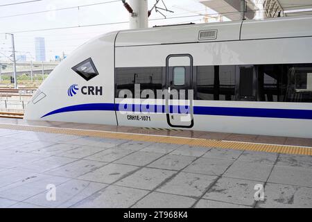 Treni espressi, CRH sul binario, stazione di Hongqiao, Shanghai, Cina Foto Stock